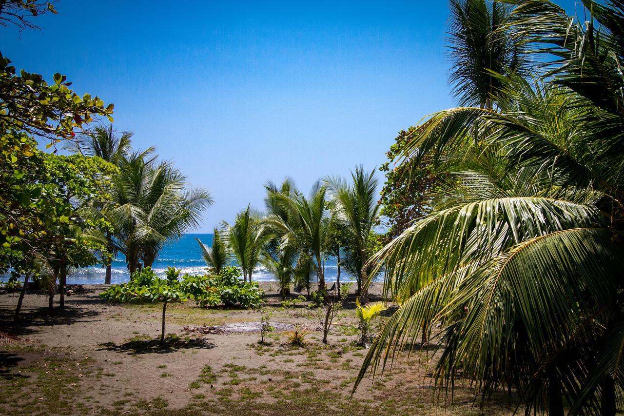 Готель Miguel Surf Camp Кепос Екстер'єр фото